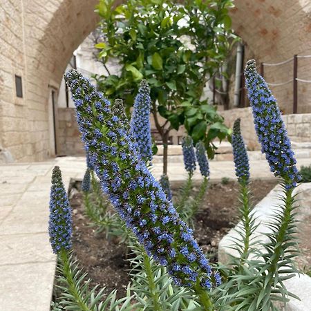 Lamanna House Polignano a Mare Exterior foto